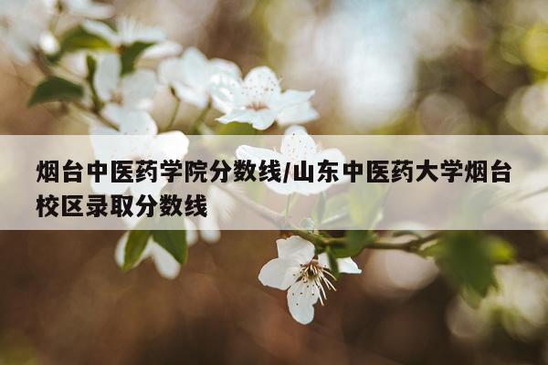 烟台中医药学院分数线/山东中医药大学烟台校区录取分数线