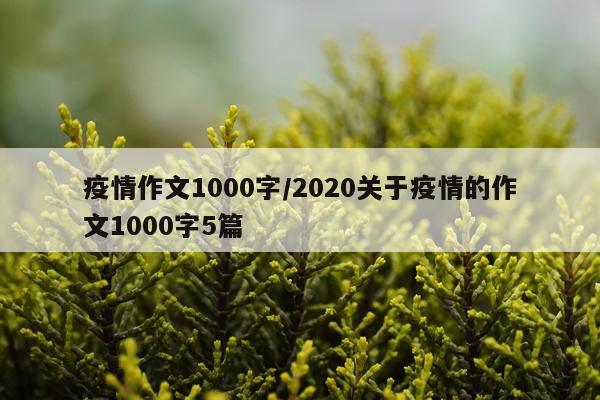 疫情作文1000字/2020关于疫情的作文1000字5篇