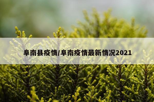阜南县疫情/阜南疫情最新情况2021