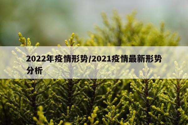 2022年疫情形势/2021疫情最新形势分析