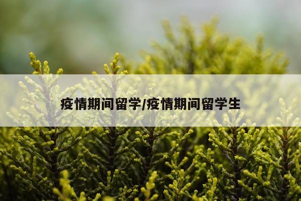 疫情期间留学/疫情期间留学生
