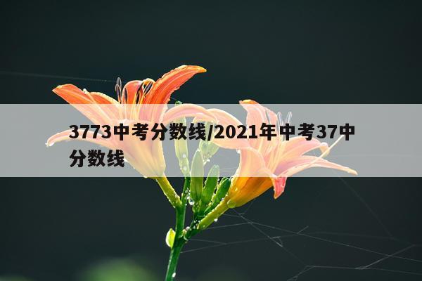 3773中考分数线/2021年中考37中分数线
