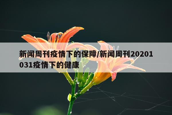 新闻周刊疫情下的保障/新闻周刊20201031疫情下的健康