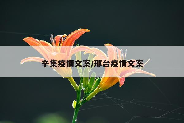 辛集疫情文案/邢台疫情文案