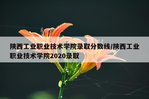 陕西工业职业技术学院录取分数线/陕西工业职业技术学院2020录取