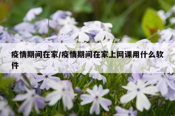 疫情期间在家/疫情期间在家上网课用什么软件