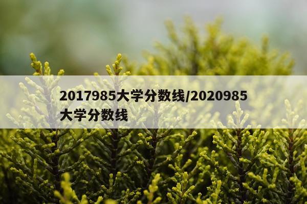 2017985大学分数线/2020985大学分数线