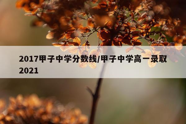 2017甲子中学分数线/甲子中学高一录取2021