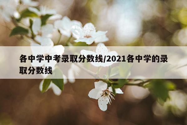各中学中考录取分数线/2021各中学的录取分数线