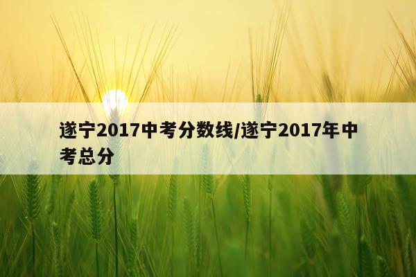 遂宁2017中考分数线/遂宁2017年中考总分