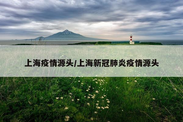 上海疫情源头/上海新冠肺炎疫情源头