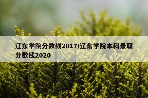 辽东学院分数线2017/辽东学院本科录取分数线2020
