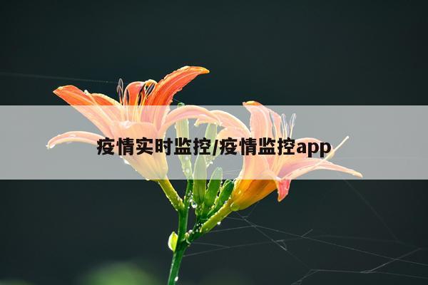 疫情实时监控/疫情监控app