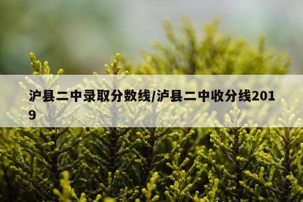 沪县二中录取分数线/泸县二中收分线2019