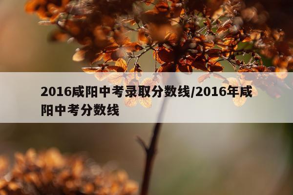2016咸阳中考录取分数线/2016年咸阳中考分数线