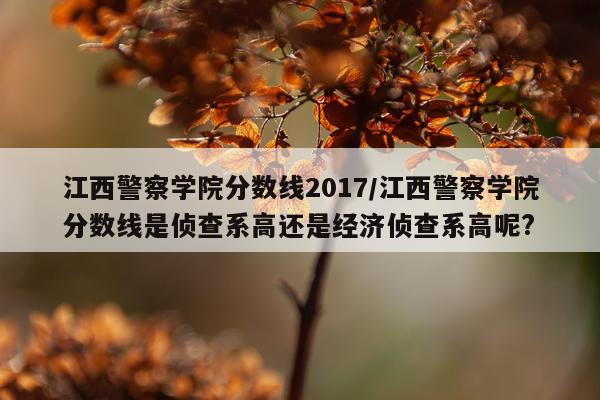 江西警察学院分数线2017/江西警察学院分数线是侦查系高还是经济侦查系高呢?