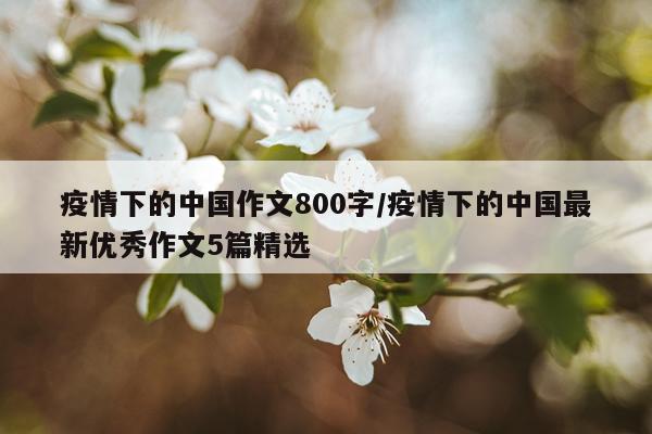 疫情下的中国作文800字/疫情下的中国最新优秀作文5篇精选