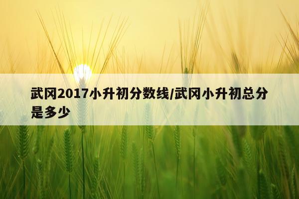 武冈2017小升初分数线/武冈小升初总分是多少