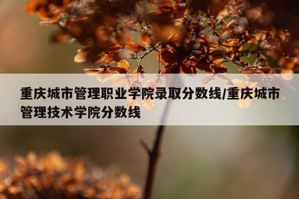 重庆城市管理职业学院录取分数线/重庆城市管理技术学院分数线