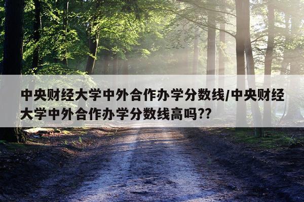 中央财经大学中外合作办学分数线/中央财经大学中外合作办学分数线高吗??