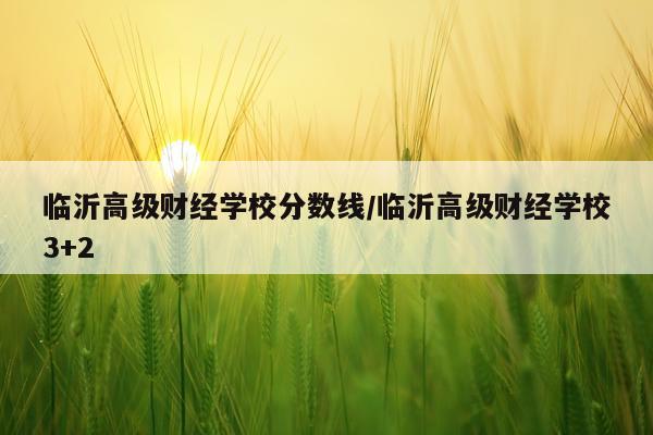 临沂高级财经学校分数线/临沂高级财经学校3+2