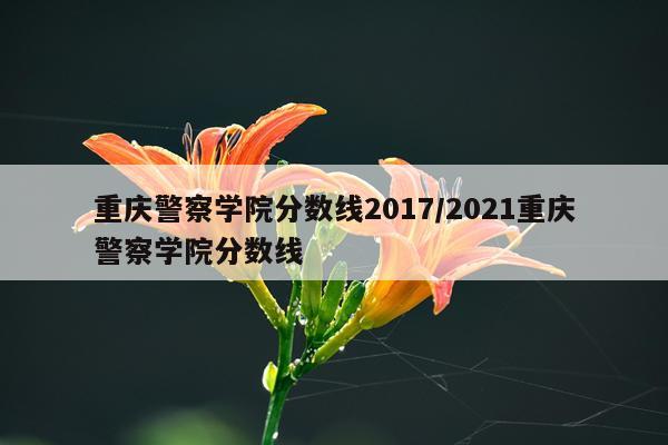重庆警察学院分数线2017/2021重庆警察学院分数线