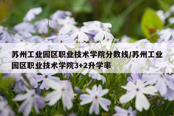 苏州工业园区职业技术学院分数线/苏州工业园区职业技术学院3+2升学率