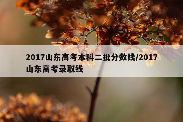 2017山东高考本科二批分数线/2017山东高考录取线