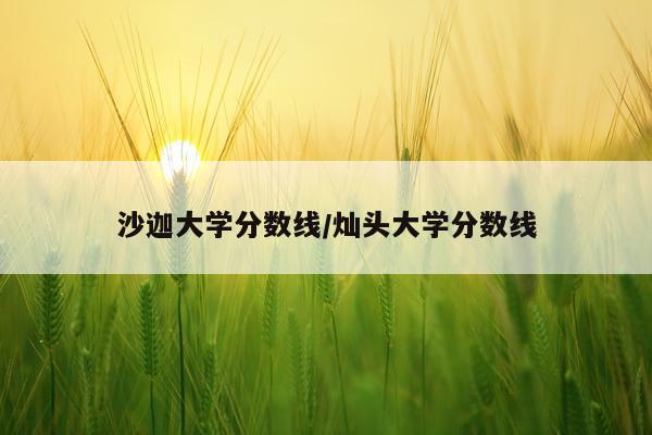 沙迦大学分数线/灿头大学分数线