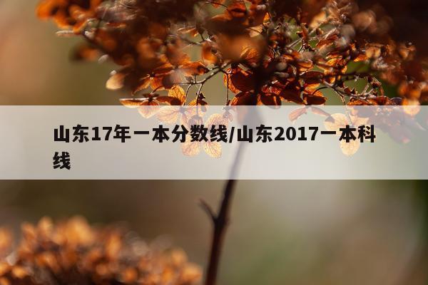 山东17年一本分数线/山东2017一本科线