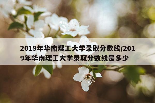 2019年华南理工大学录取分数线/2019年华南理工大学录取分数线是多少