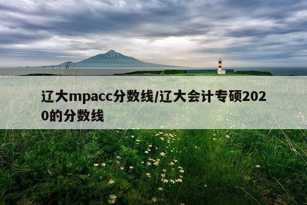 辽大mpacc分数线/辽大会计专硕2020的分数线