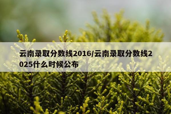 云南录取分数线2016/云南录取分数线2025什么时候公布