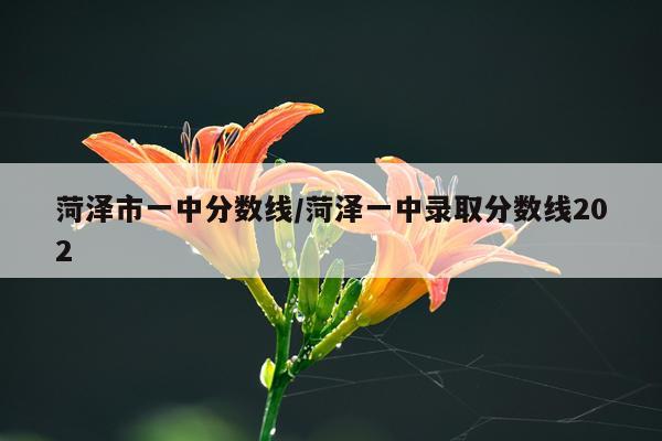 菏泽市一中分数线/菏泽一中录取分数线202
