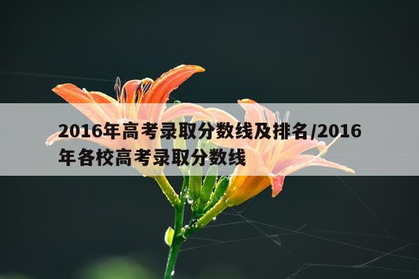 2016年高考录取分数线及排名/2016年各校高考录取分数线