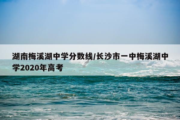 湖南梅溪湖中学分数线/长沙市一中梅溪湖中学2020年高考