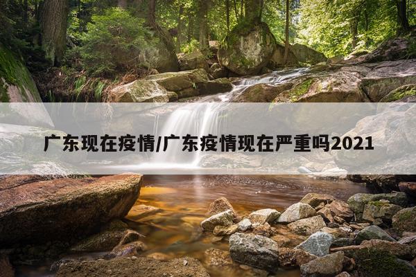 广东现在疫情/广东疫情现在严重吗2021