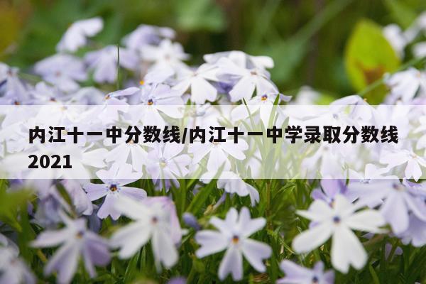 内江十一中分数线/内江十一中学录取分数线2021