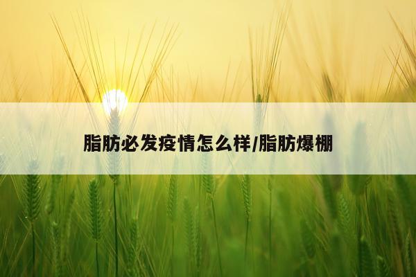 脂肪必发疫情怎么样/脂肪爆棚