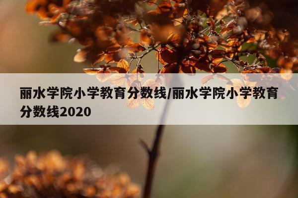 丽水学院小学教育分数线/丽水学院小学教育分数线2020
