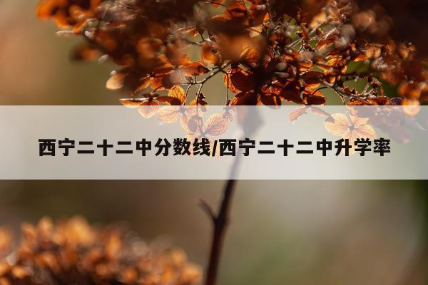 西宁二十二中分数线/西宁二十二中升学率