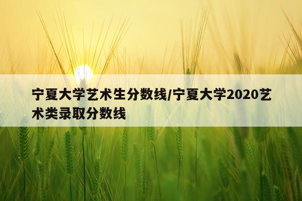 宁夏大学艺术生分数线/宁夏大学2020艺术类录取分数线