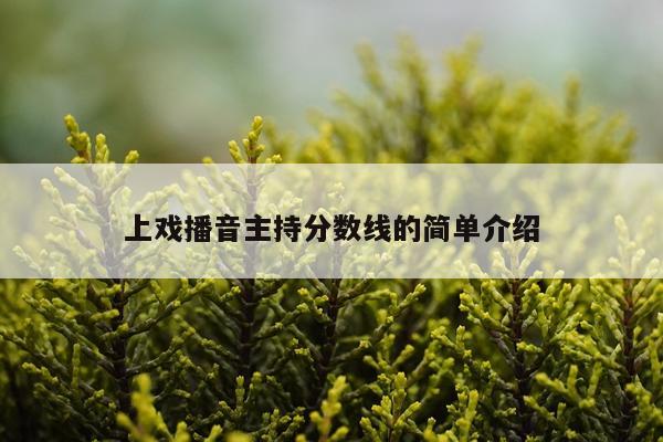 上戏播音主持分数线的简单介绍