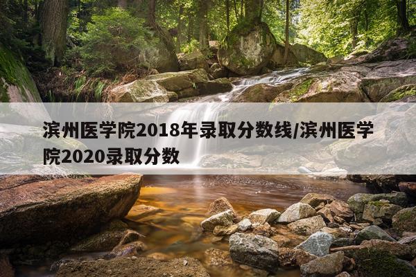 滨州医学院2018年录取分数线/滨州医学院2020录取分数