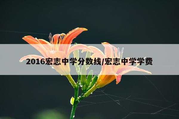 2016宏志中学分数线/宏志中学学费