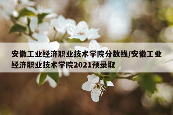 安徽工业经济职业技术学院分数线/安徽工业经济职业技术学院2021预录取
