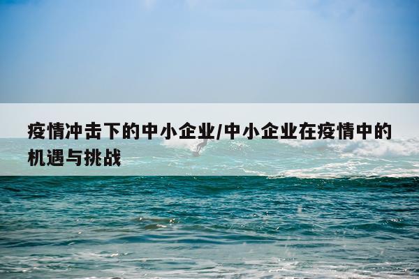 疫情冲击下的中小企业/中小企业在疫情中的机遇与挑战