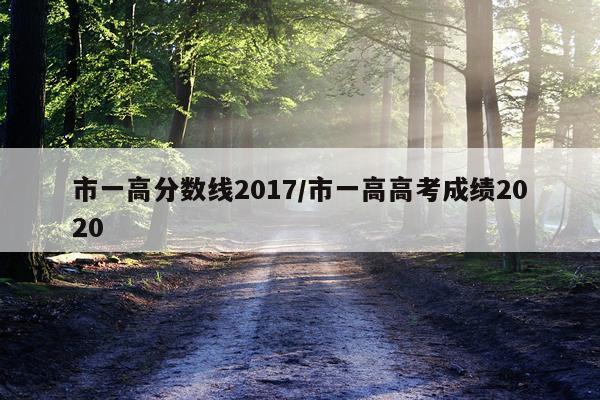 市一高分数线2017/市一高高考成绩2020