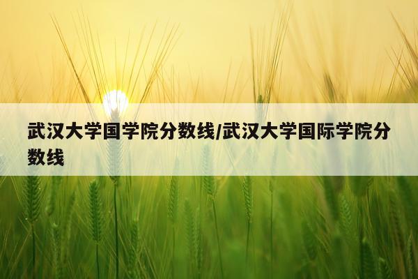 武汉大学国学院分数线/武汉大学国际学院分数线