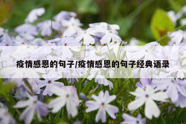 疫情感恩的句子/疫情感恩的句子经典语录